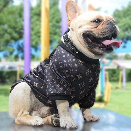 Hype Doggo  Sweater