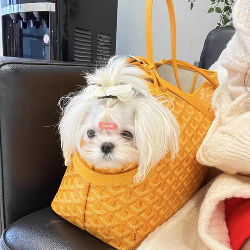 Pet Cool Bag