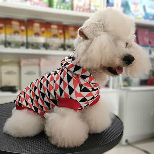 Winter Autumn Pet Whimsical Hoodies