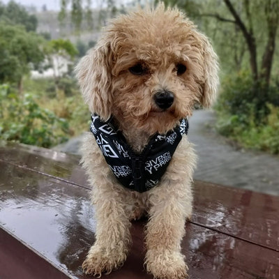Doggo Winter Warm Thicken Waterproof Bold Jacket