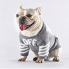 Pup White Monochrome Doggo Bold Sweater