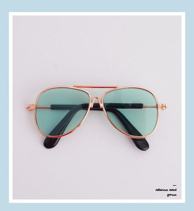 Doggie Moody Doggles