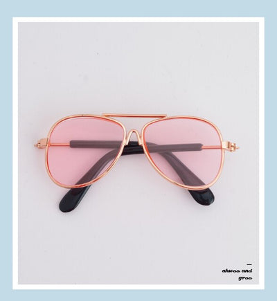 Doggie Moody Doggles