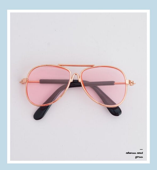 Doggie Moody Doggles