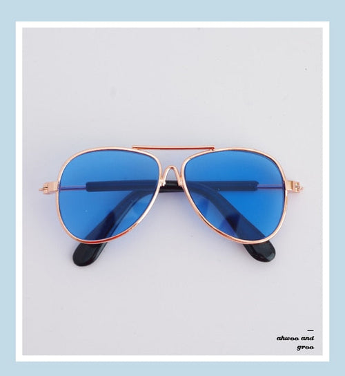 Doggie Moody Doggles