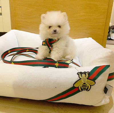 Gbees Dog Harness And Leash Iconic Set