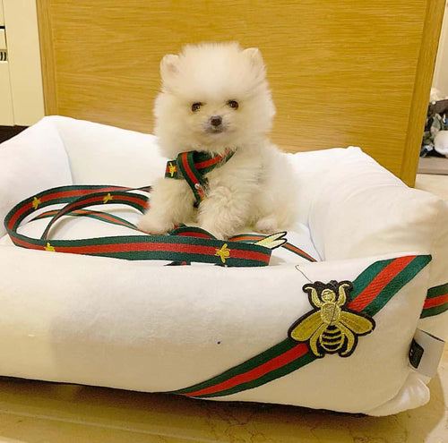 Gbees Dog Harness And Leash Iconic Set