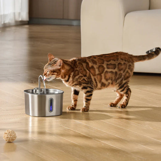 Stainless Steel Cat Water Fountain