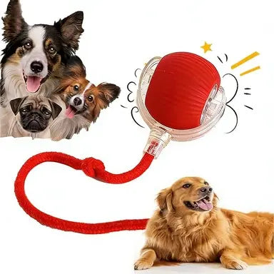 CozyDogo™ Self-Moving Ball Toy