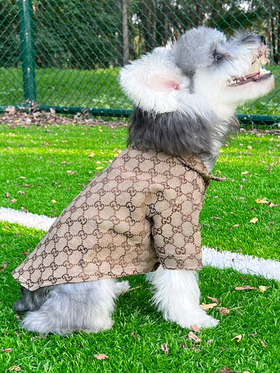 Big Dog GG Chill Shirt