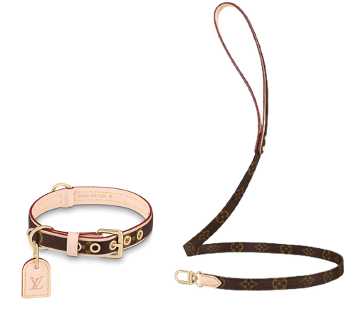 Amelia Dog Collar & Backspin Leash