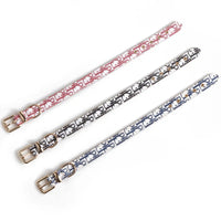 Donato Collar & Leash Dope Set