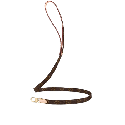 Amelia Dog Collar & Backspin Leash
