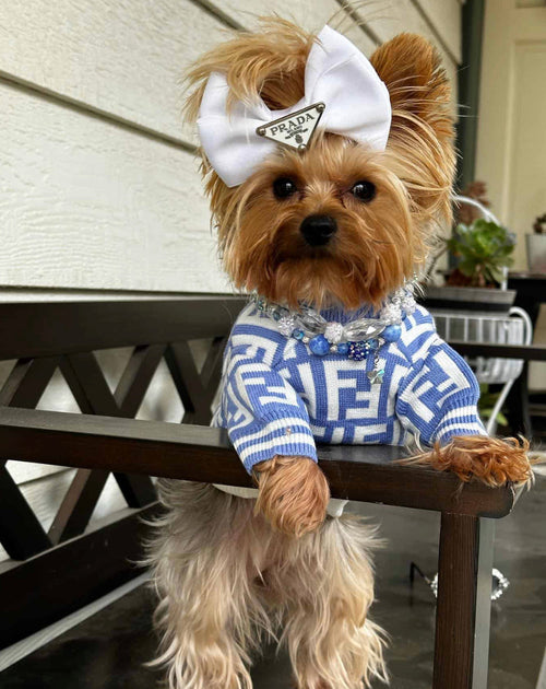 Marine Dog FancySweater