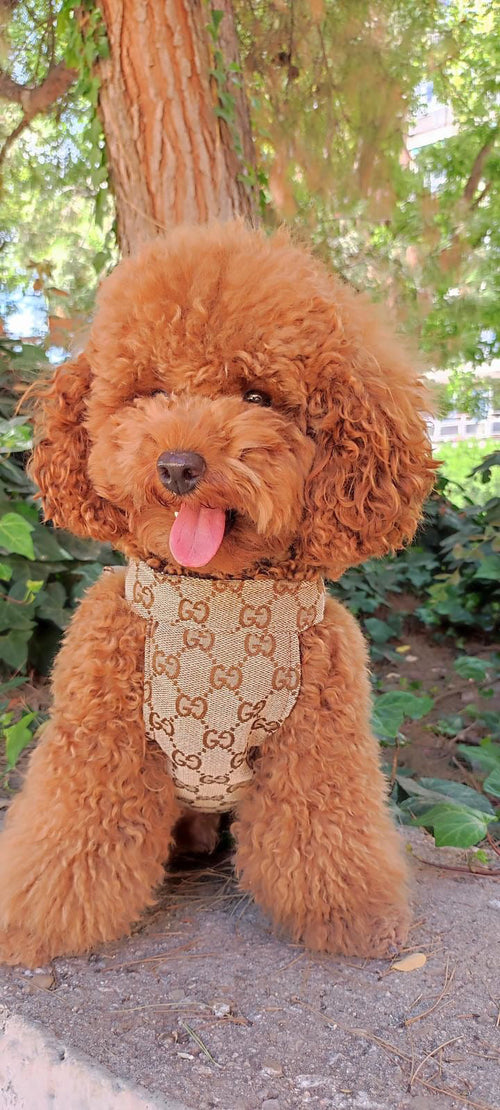 Pomy Bow Fire Harness