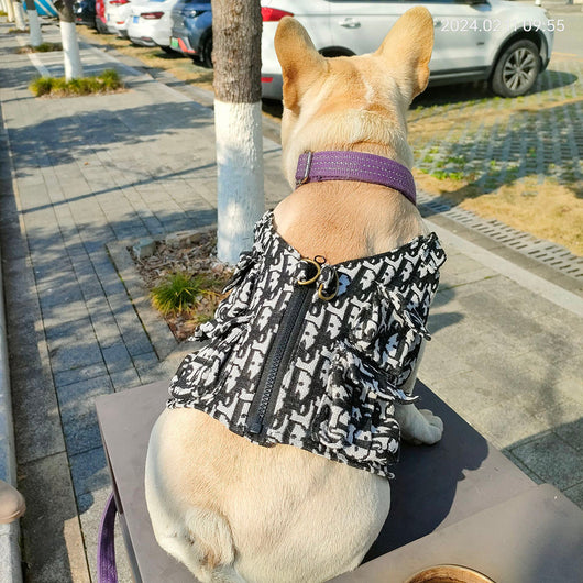 Timeless Tailored Dog Prime Harness