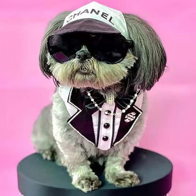 CC Doggo Lux Cool Edgy Cap