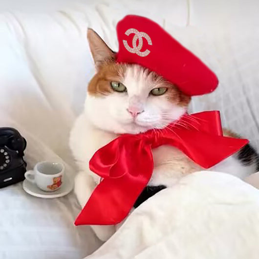 CC Doggo Stylish Banger Cap