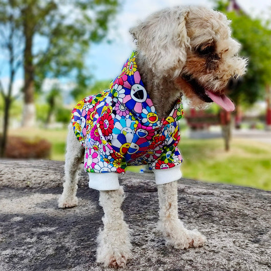 Luxury Sun Flower Drip Vibrant Hoodie