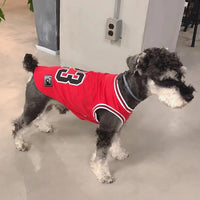 Legends Classic Doggo Whimsical Jersey