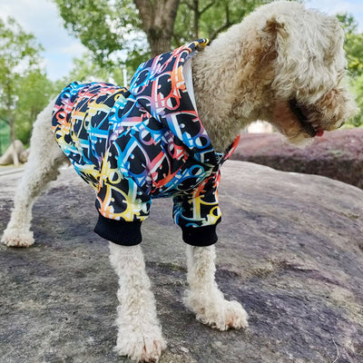 DD Classic Winter Lit Hoodie