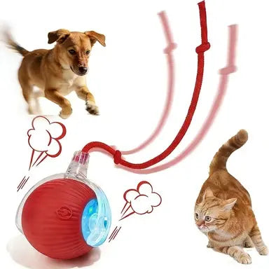 CozyDogo™ Self-Moving Ball Toy