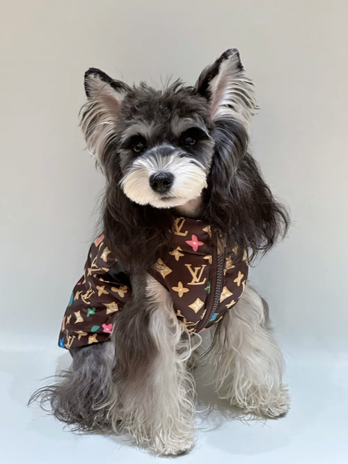 Pet Dog Retro Clothes