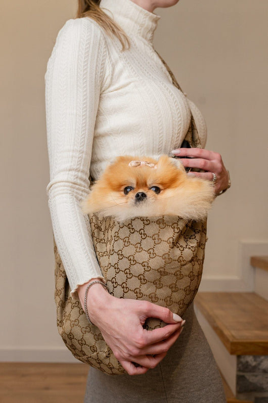 GG Dog Fly Carrier