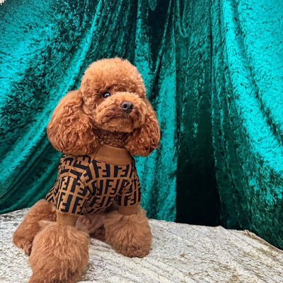 Fency Dog Rewind Sweater
