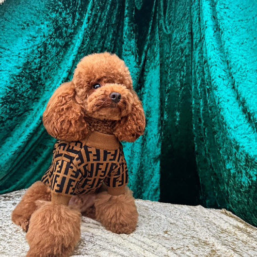 Fency Dog Rewind Sweater