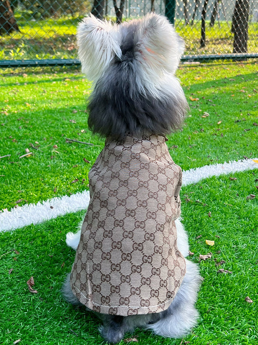Big Dog GG Chill Shirt