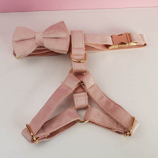 Velvet Luxe Flash Set