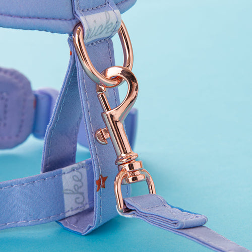 Mickey Lux Drip Harness & Leash Lit Set