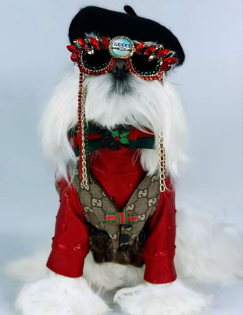 GG Pup Summer Vibrant Vest