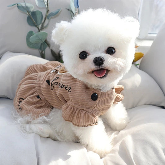 Sweet Baby Bear Abstract Dress