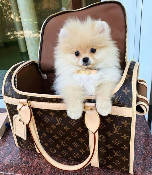 Loula Viral Bag