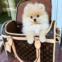 Loula Viral Bag