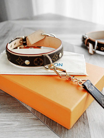 Amelia Dog Collar & Backspin Leash