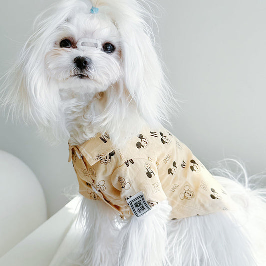 White fluffy dog wearing a beige short-sleeve collared shirt with an all-over graphic print.