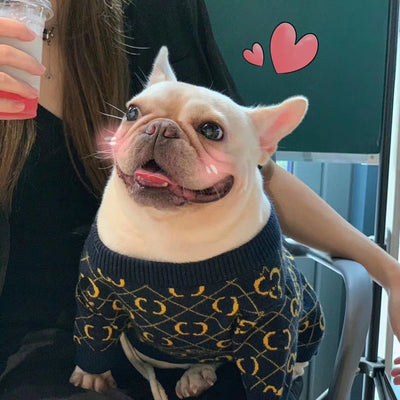 Hype Doggo Drip Clean Sweater