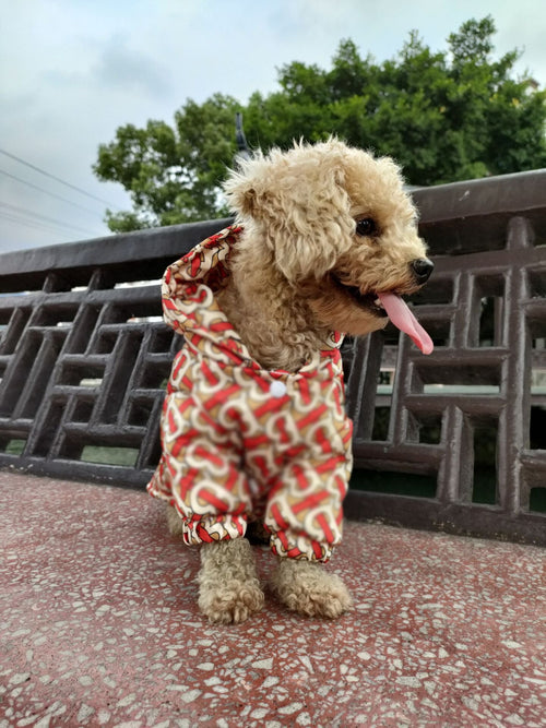 Luxury Cool Drip Crisp Jacket