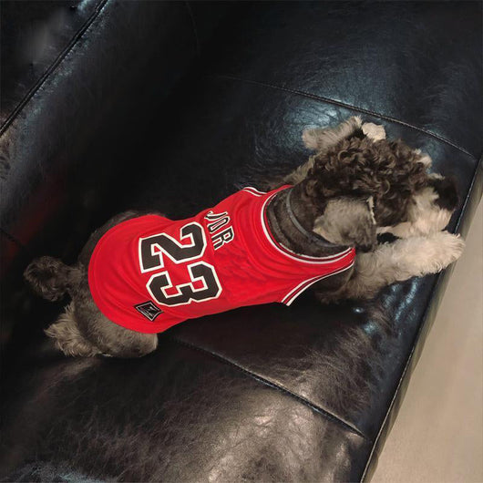 Legends Classic Doggo Whimsical Jersey
