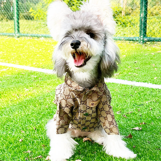 Pet Dog Prime Clothes
