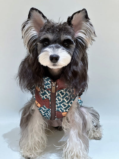 Pet Dog Retro Clothes
