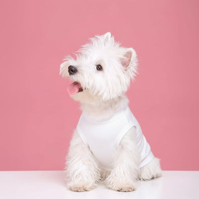 Dog Cotton Tank Top 2PCS – Large Dog Shirt Breathable