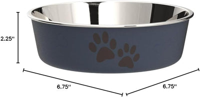 Stainless Steel Dog Bowl I Spill Proof I Blueberry