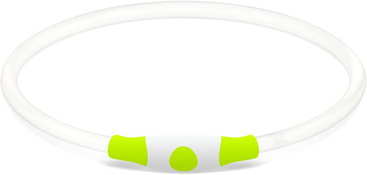 LED Light Up Dog Collar