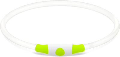 LED Light Up Dog Collar