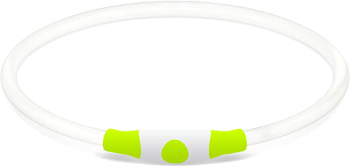 LED Light Up Dog Collar