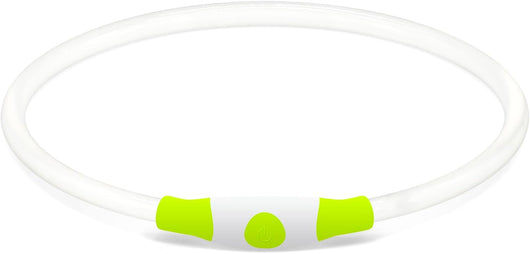 LED Light Up Dog Collar